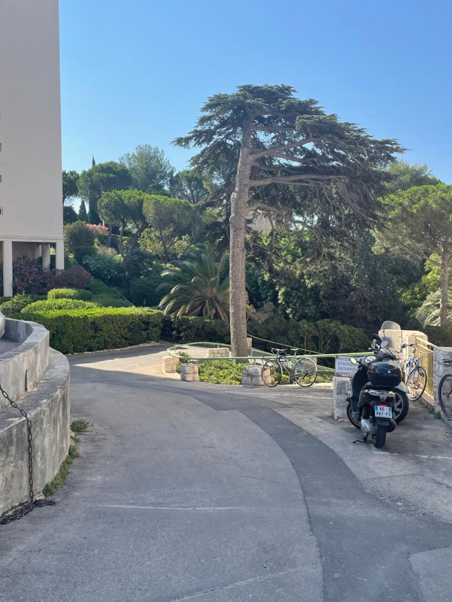 Vu Sur Mer Corniche Daire Marsilya Dış mekan fotoğraf